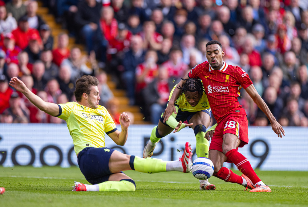 森旅迷鹿（森境寻鹿）